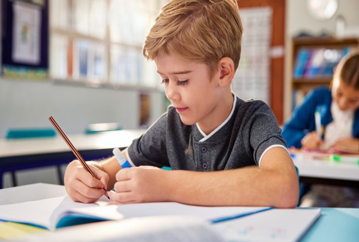 Alunno scuola primaria
