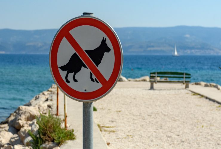 Divieto cani in spiaggia - Romait.it