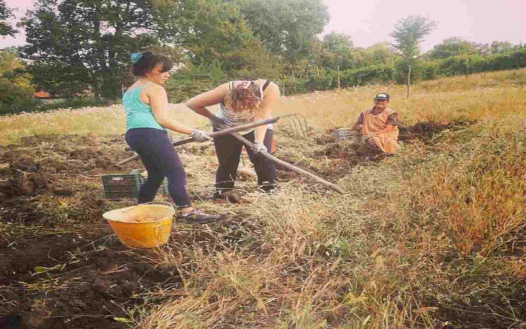 In campagna - Romait.it
