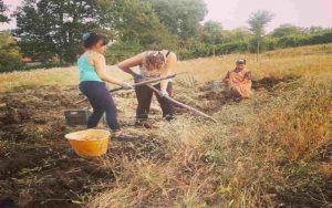 In campagna - Romait.it