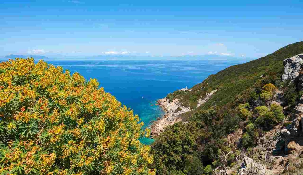 Isola di Zannone