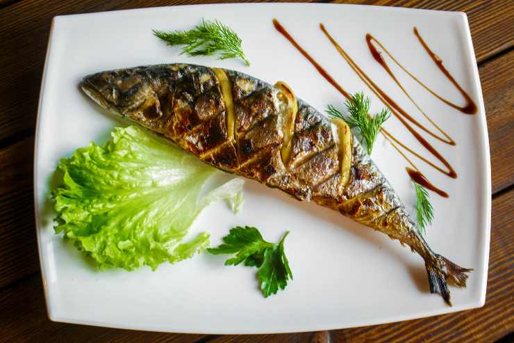 Piatto a base di pesce - Romait.it