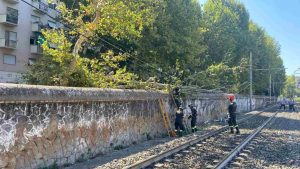 Albero caduto, Metro B, San Paolo