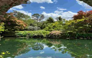 Angolo paradisiaco - Romait.it