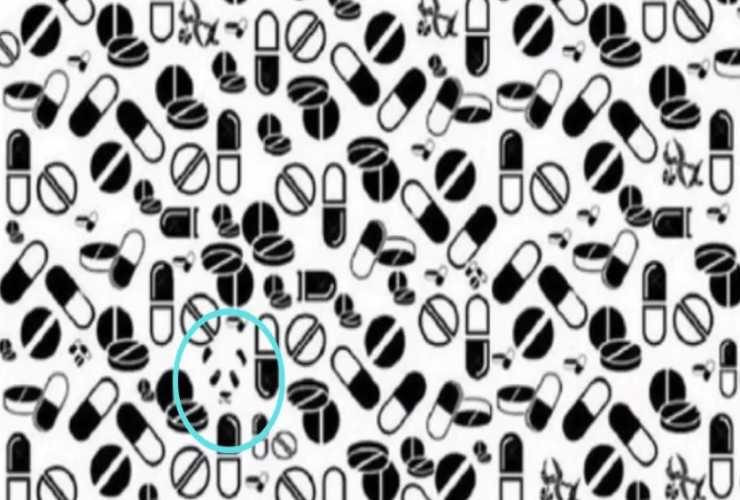 Test visivo panda 