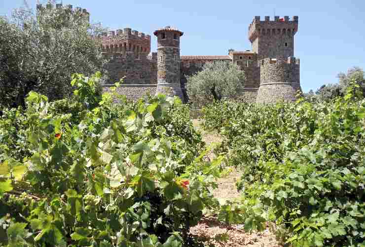 Castello di Torre Alfina - Romait.it
