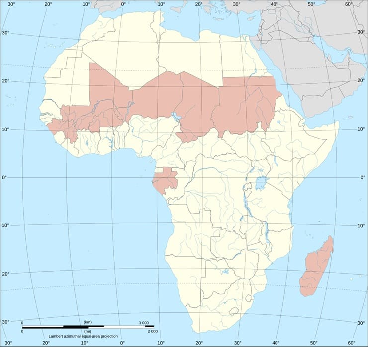 Cintura dei Golpe in Africa