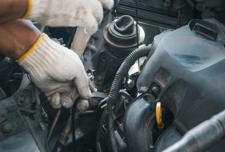 Cinghia di distribuzione