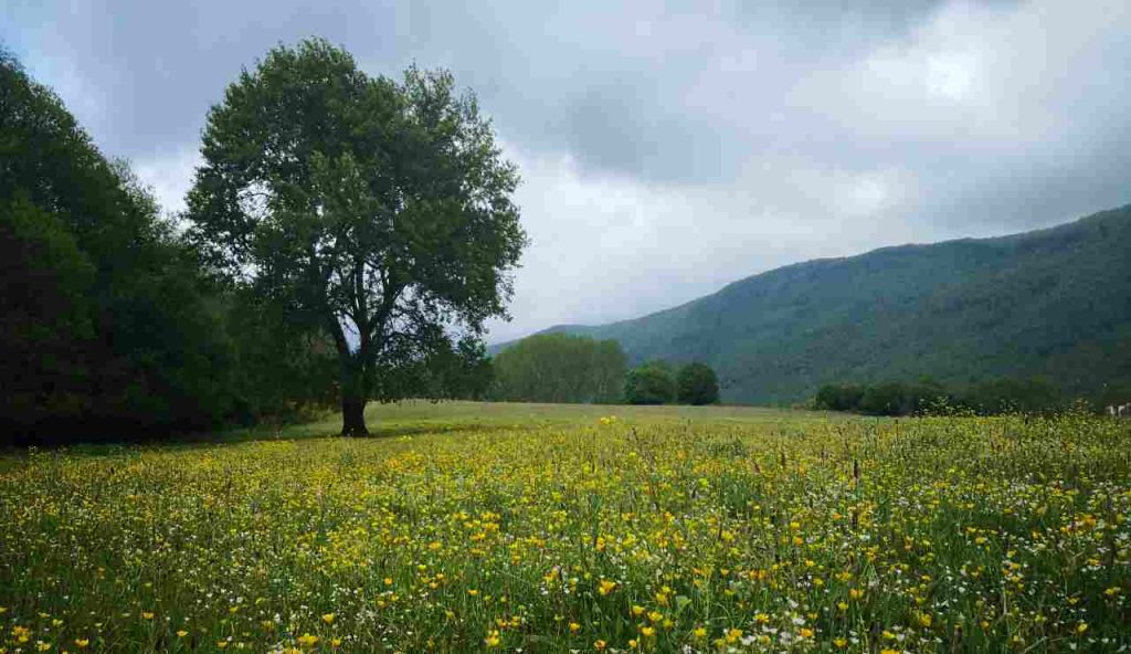 Parco del Lazio - Romait.it