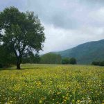 Parco del Lazio - Romait.it