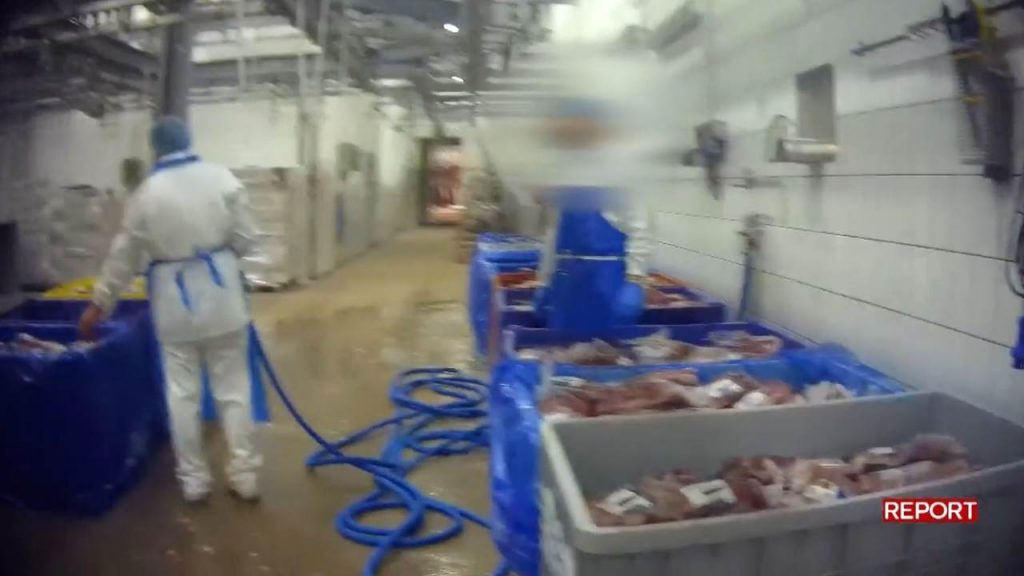 Report, carne scaduta