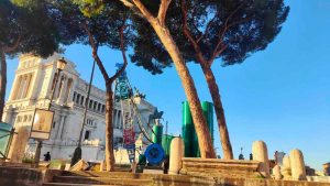Alberi, pini via dei Fori Imperiali