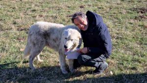 Mario Tozzi, cane pastore