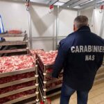 Carabinieri Nas, controllo alimenti